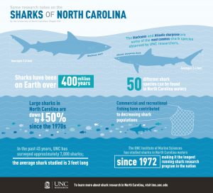 shark_infographic_fa