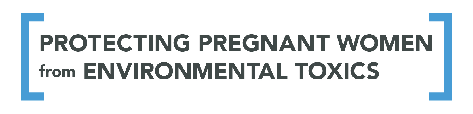 Protecting Pregnant Women from Environmental Toxics