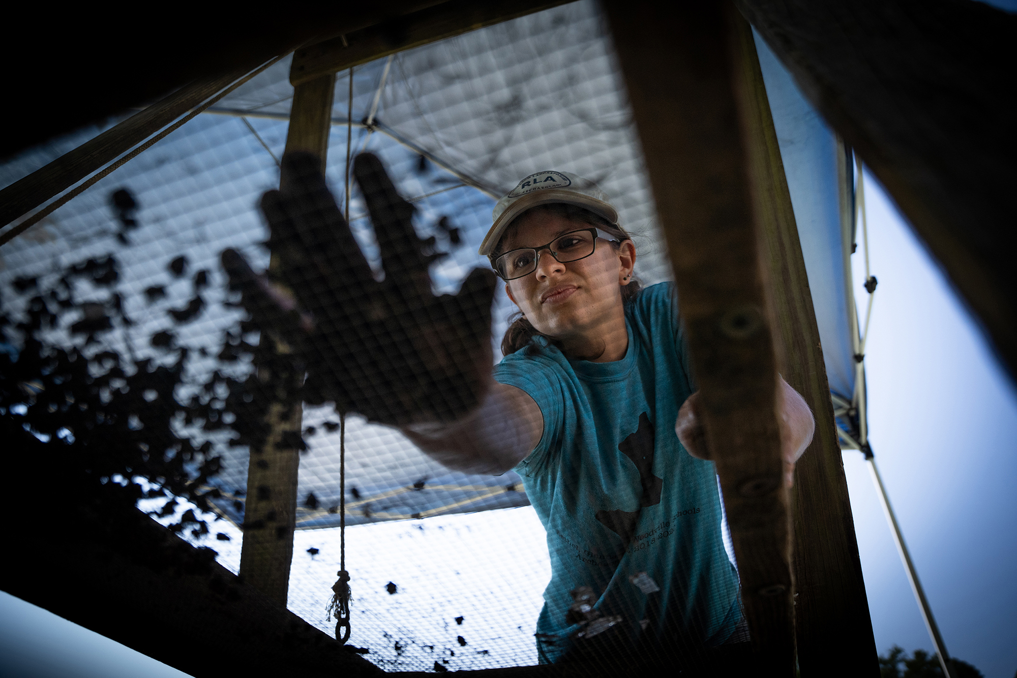 UNC PhD student Colleen Betti sifts through dirt at her field site in Gloucester, Virginia.