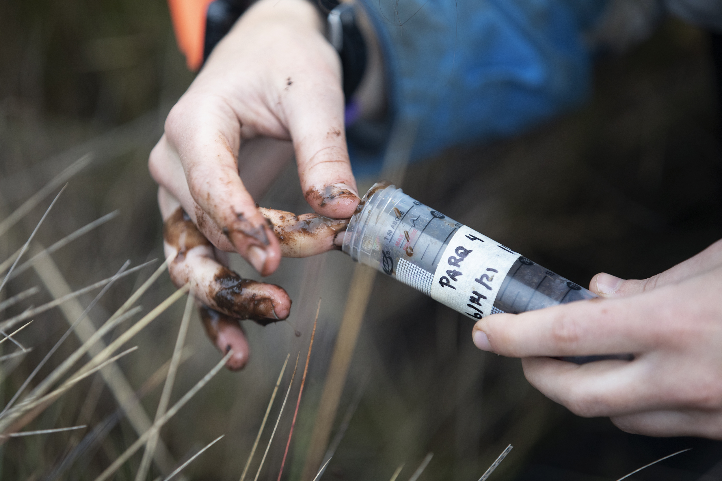 a hand putting wet soil into a container
