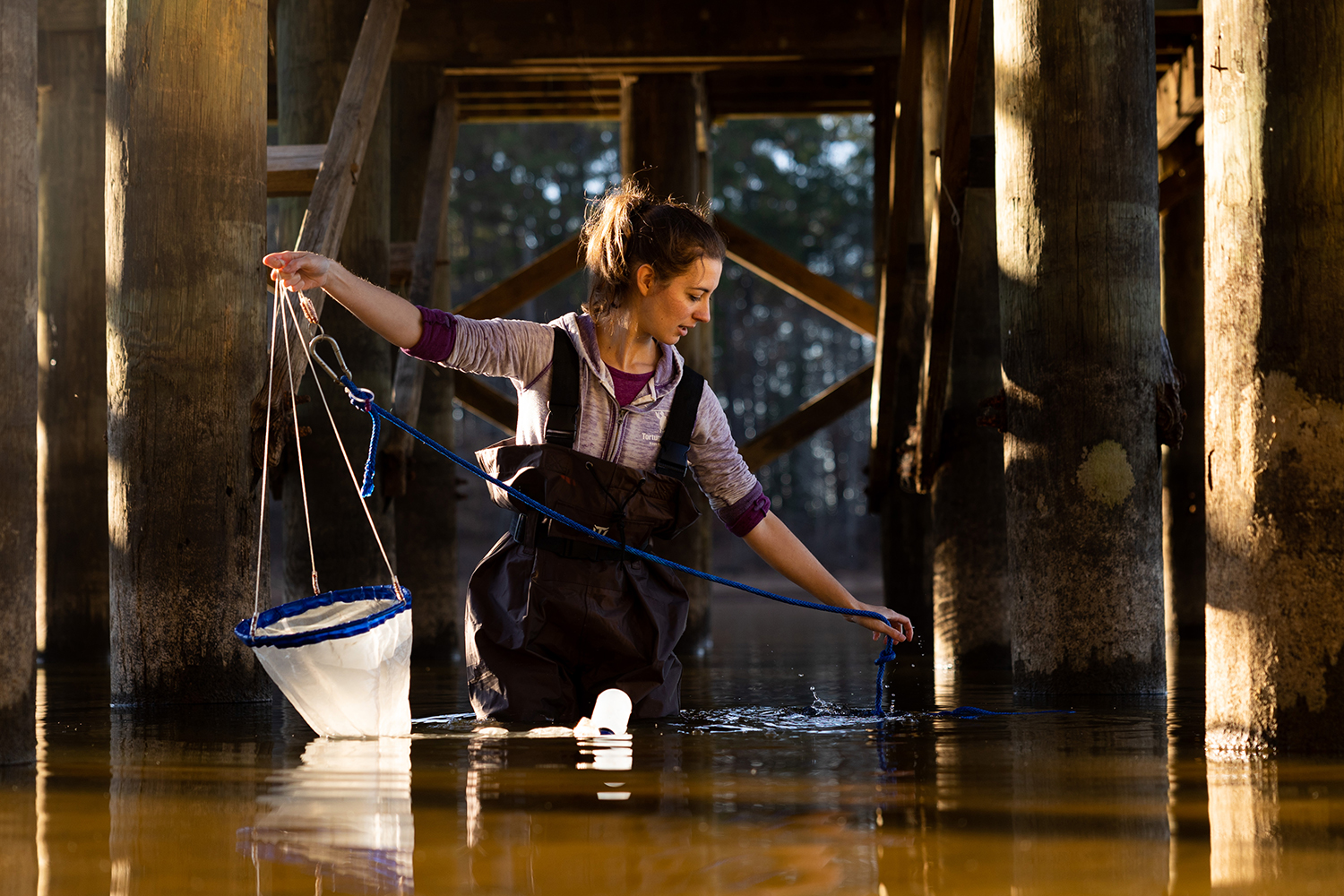 Emily Harmon holds a net under a dock at Jordan Lake