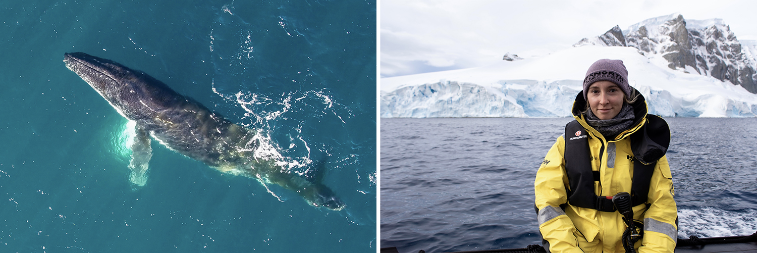 a whale and Liah McPherson