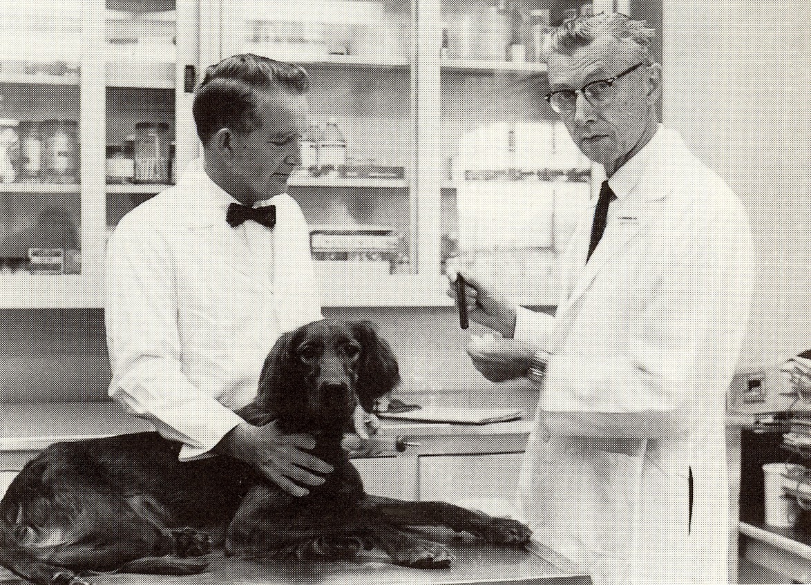 Kenneth Brinkhous