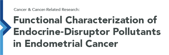 Cancer & Cancer-Related Research: Functional Characterization of Endocrine-Disruptor Pollutants in Endometrial Cancer
