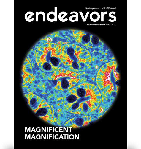 Endeavors 2022-2023 magazine cover, featuring a heat mapped image of cells from the small intestine