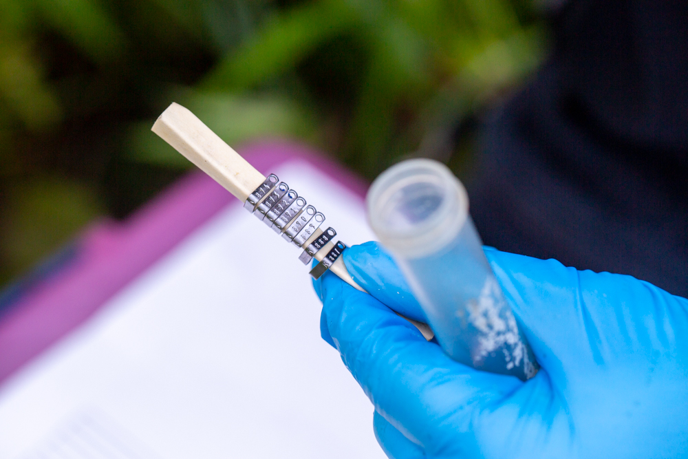 tags for small mammals