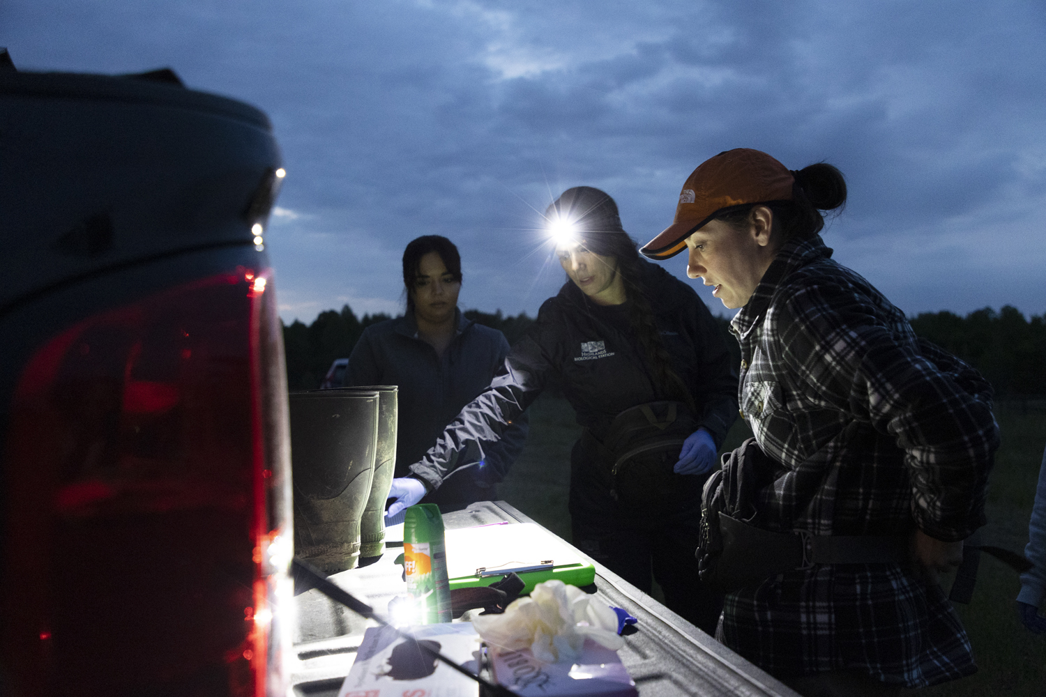 researchers gather gear on the back of a truck