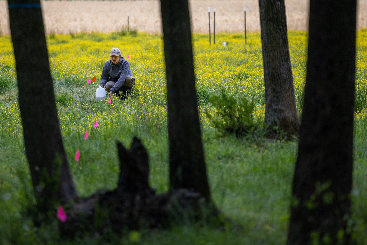 Olivia Munzer in a field