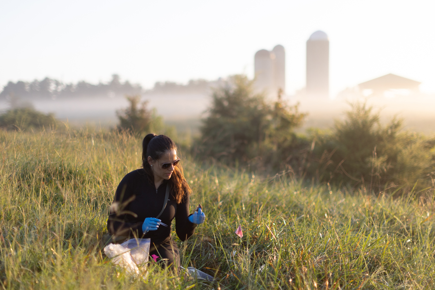 Rada Metric takes measurements of a field mouse