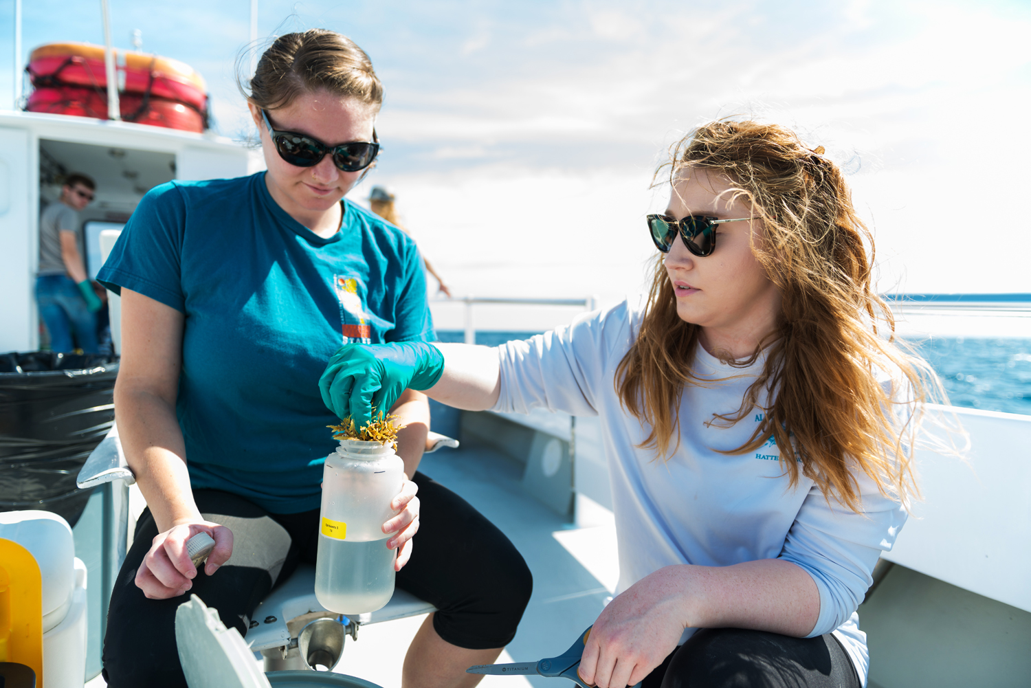 Claire Johnson collects sargassum in a bottle