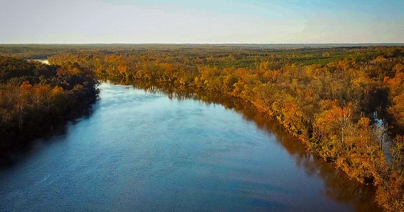 An overhead shot of a river with trees on either side.
