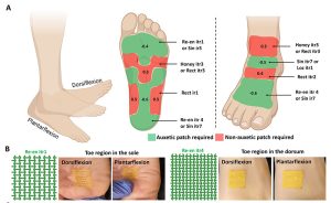 Graphics showing feet and bandages on different parts of the feet.