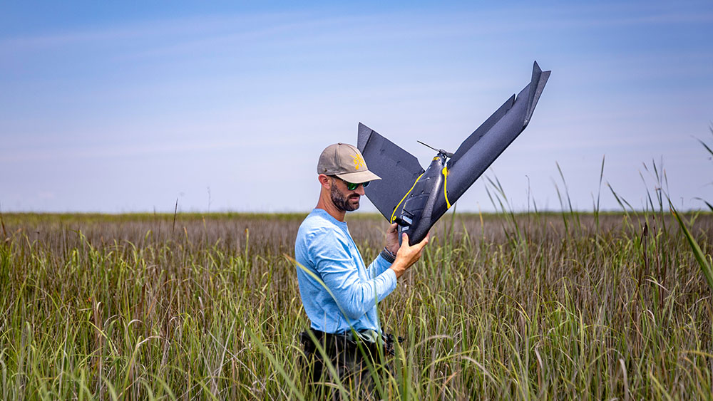 A man carries a drone out of a marsh.