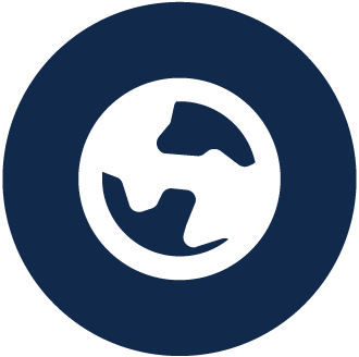 Icon: Globe