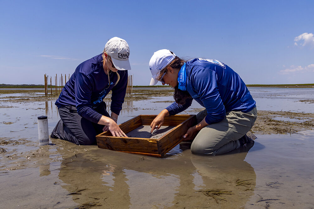 two young women look at seed samples in a wooden sifter