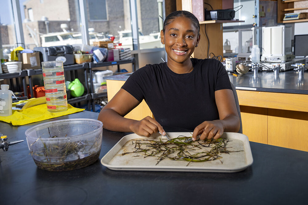 a young girl sits in a lab with a tray of seagrass in front of her