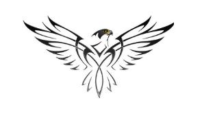 Falcon Therapeutics logo.