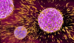 a graphic showing orange antibodies attacking a purple virus
