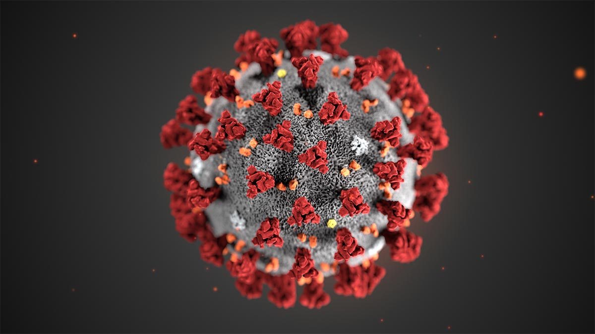 CDC rendering of the coronavirus