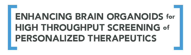 Enhancing Brain Organoids for High Throughput Screening of Personalized Therapeutics