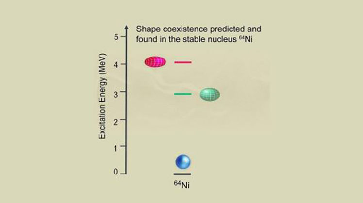 When excited to higher energy states, a Ni-64 nucleus can change its shape from spherical to oblate or prolate, as illustrated in this figure.