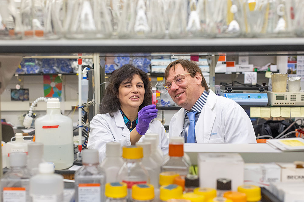 Blossom Damania and Dirk Dittmer work together in a lab.
