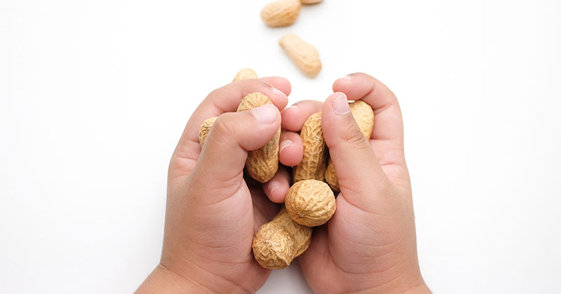 A child holding peanuts in their hands