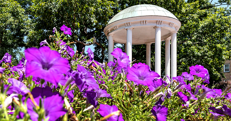 The old well with flowers in the foreground