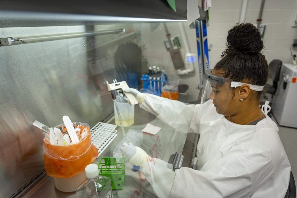 a researcher pipettes in a hood in the core facilities